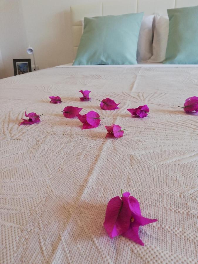 Fxapartment1 Funchal  Zewnętrze zdjęcie